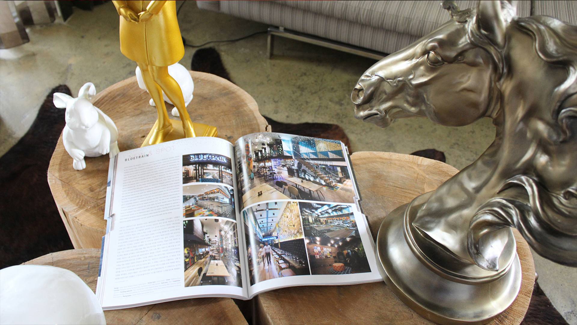 BLUETRAIN Bob Publication