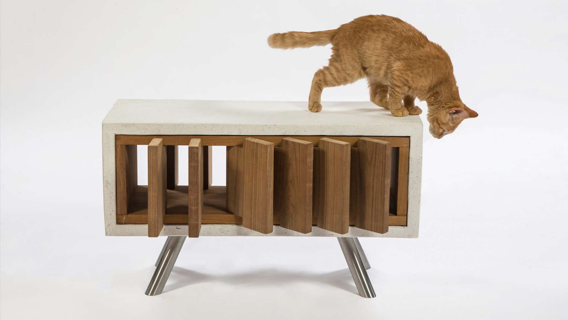 LA Architects and Designers Build Imaginative Outdoor Cat Dwellings for Charity