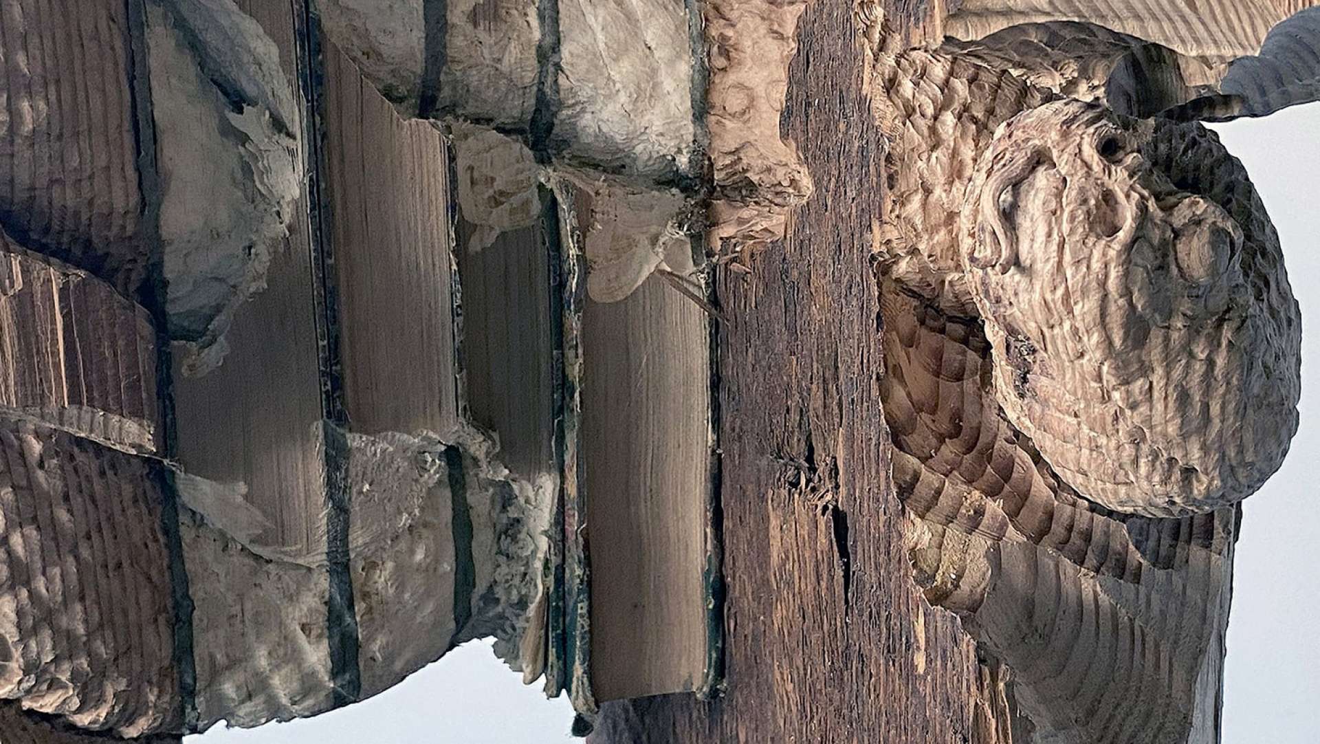 Metaphorical Wood and Book Sculpture by Maskull Lasserre
