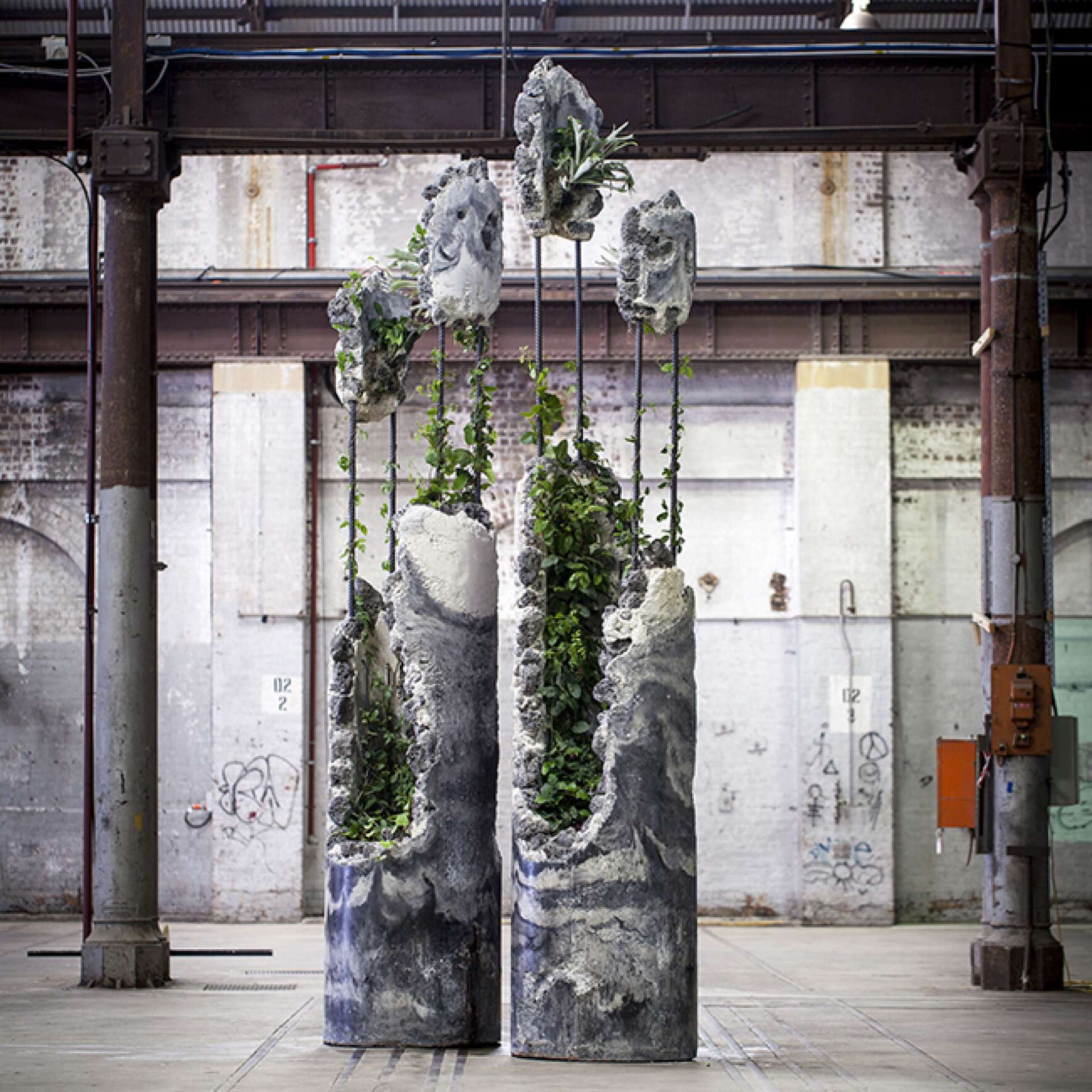 Australian Plants Grow from the Crevices of Jamie North's Living Sculptures